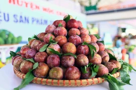 Sản phẩm mận hậu của huyện Mộc Châu, tỉnh Sơn La tại Festival trái cây và sản phẩm OCOP năm 2022. (Ảnh: Quang Quyết/TTXVN)