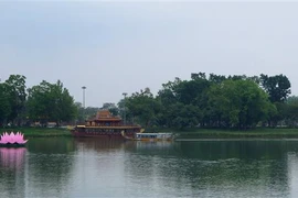 Hạ thủy hoa sen trên sông Hương. (Ảnh: Tường Vi/TTXVN)