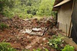 (Ảnh minh họa: Tiến Khánh/TTXVN)