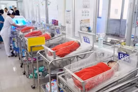 Chăm sóc trẻ sơ sinh non tháng tại Bệnh viện Nhi Đồng 2, Thành phố Hồ Chí Minh. (Ảnh: TTXVN)