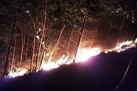 Thời tiết khô, nóng cùng với gió Lào thổi mạnh khiến đám cháy nhanh chóng lan rộng. Ảnh minh họa. (Ảnh: TTXVN phát)