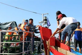 Ứng cứu tàu cá gặp nạn. (Ảnh: Trần Tĩnh/TTXVN)