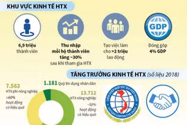 Khu vực kinh tế hợp tác xã đóng góp 4% GDP cả nước