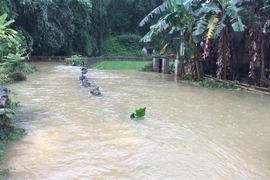 Mưa lũ gây ngập lụt tại xã Quảng Hưng, huyện Quảng Uyên. (Ảnh: TTXVN/phát)