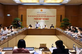 Quang cảnh phiên họp. (Nguồn: daibieunhandan.vn)