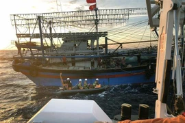 Các tàu cá phối hợp tìm kiếm cứu nạn. (Ảnh: Hoàng Ngọc/TTXVN)