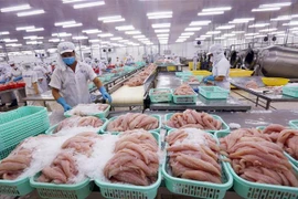 EVFTA và EVIPA sẽ là cú hích lớn cho xuất khẩu của Việt Nam. (Ảnh: Danh Lam/TTXVN)