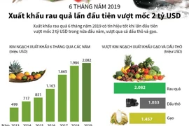 6 tháng đầu năm, xuất khẩu rau quả lần đầu tiên vượt mốc 2 tỷ USD