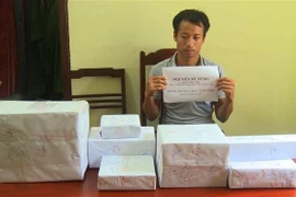 Đối tượng Nguyễn Sỹ Tùng cùng tang vật vụ án. (Ảnh: Trịnh Duy Hưng/TTXVN)