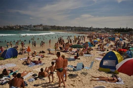 Người dân tránh nóng trên bãi biển ở Sydney, Australia. (Nguồn: AFP/TTXVN)