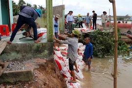 Người dân xã Xuân Hòa (Kế Sách, Sóc Trăng) đắp bao cát tại những chỗ bị sạt lở. (Ảnh: Trung Hiếu/TTXVN)