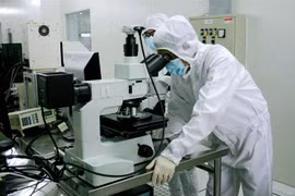 Nghiên cứu phát triển sản phẩm vi mạch bán dẫn, kết quả hợp tác chuyển giao công nghệ tại Khu công nghệ cao Thành phố Hồ Chí Minh. (Ảnh minh họa: Tiến Lực/TTXVN)