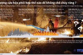 Lực lượng cứu hỏa phối hợp thế nào để khống chế cháy rừng?