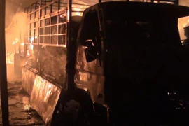 (Ảnh minh họa: Huyền Trang/TTXVN)