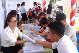 (Ảnh minh họa: Tường Vi/TTXVN)