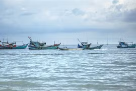 (Ảnh minh họa: Hồng Đạt/TTXVN)
