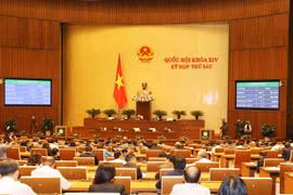 (Ảnh minh họa: Phương Hoa/TTXVN)