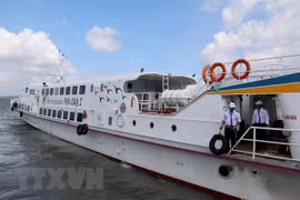 (Ảnh minh họa: Hồng Hiếu/TTXVN)