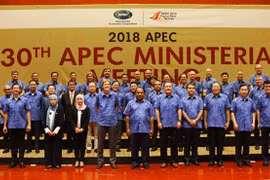 Phó Thủ tướng, Bộ trưởng Ngoại giao Phạm Bình Minh (hàng cuối, thứ 3, từ phải sang) cùng Trưởng đoàn các nền kinh tế thành viên APEC dự Hội nghị AMM 30 chụp ảnh chung. (Ảnh: Khánh Linh/TTXVN)