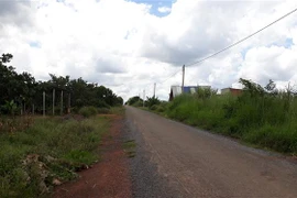 (Ảnh minh họa: K GỬIH/TTXVN)