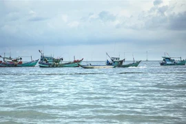 (Ảnh minh họa: Hồng Đạt/TTXVN)