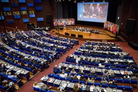 Toàn cảnh phiên họp OPCW tại Hague, Hà Lan ngày 26/6. (Ảnh: EPA-EFE/ TTXVN)