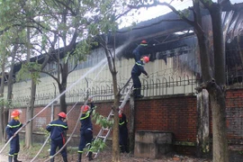 (Ảnh minh họa: Nguyễn Thảo/TTXVN)