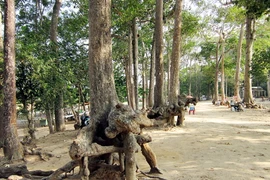 (Nguồn: wikipedia.org)