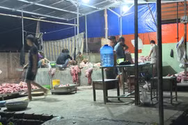 Lực lượng chức năng bắt quả tang cơ sở giết mổ lợn trên sàn nhà dơ bẩn, không đảm bảo vệ sinh. (Ảnh: Lê Xuân/TTXVN)