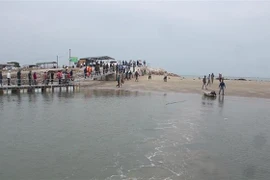 (Ảnh minh họa: TTXVN phát)