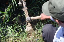 Một thanh giằng bêtông bị đập vỡ, lộ ra cốt thép bên trong. (Ảnh: Quốc Dũng/TTXVN)