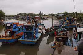 Tàu thuyền đã được kêu gọi về nơi neo đậu an toàn tại xã Long Hòa, huyện Cần Giờ. (Ảnh: Hoàng Hải -TTXVN)