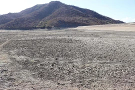 (Ảnh minh họa: Nguyễn Thành/TTXVN)