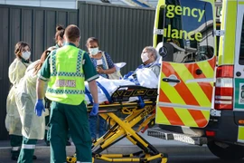 Nhân viên y tế chuyển bệnh nhân mắc COVID-19 tại Adelaide, Australia ngày 21/4/2020. (Ảnh: AFP/TXVN)