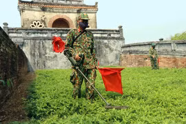 Rà phá bom mìn khu vực Thượng Thành, thành phố Huế. (Ảnh: Đỗ Trưởng/TTXVN)