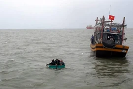 (Ảnh minh họa: Văn Tý/TTXVN)