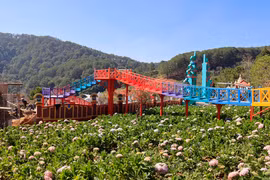 Công trình Vườn thượng uyển bay trên khu đất thuộc diện quy hoạch đất rừng phòng hộ của thành phố Đà Lạt (Lâm Đồng). (Ảnh: TTXVN phát)