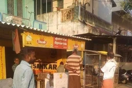 22 khoảnh khắc thú vị khi loài vật cũng thực hiện 'giãn cách xã hội'