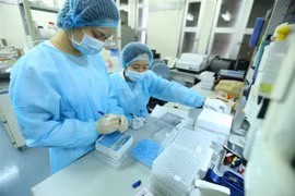 (Ảnh minh họa: Minh Quyết/TTXVN)