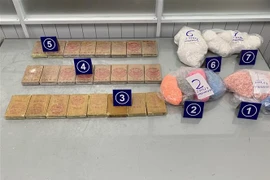 Ma túy và cần sa bị lực lượng hải quan phát hiện, thu giữ khi chuyển qua đường chuyển phát nhanh. (Ảnh: TTXVN phát)