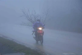 (Ảnh minh họa: Quang Quyết/TTXVN)