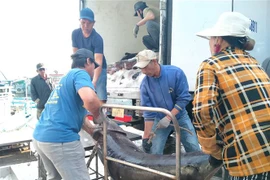 Cá ngừ đại dương. (Ảnh Thanh Vân/TTXVN)