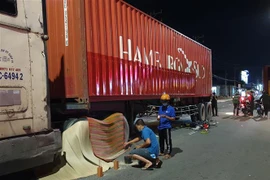 (Ảnh minh họa: Huyền Trang/TTXVN)