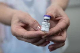 Vaccine phòng COVID-19 do hãng dược Pfizer (Mỹ) và BioNTech (Đức) phối hợp phát triển. (Ảnh: THX/TTXVN)