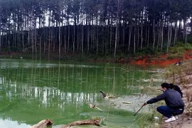 Nước hồ thủy lợi ô nhiễm, đặc quánh vẫn dùng tưới cho cây trồng