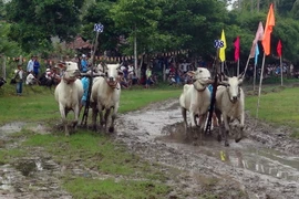 (Ảnh: Công Mạo/TTXVN)