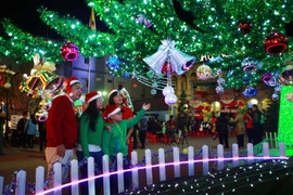 (Ảnh minh họa: Lâm Khánh/TTXVN)