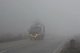 Ảnh minh họa. (Nguồn: TTXVN)