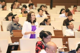 Đại biểu Quốc hội tỉnh Lào Cai Lù Thị Lừu phát biểu ý kiến. (Ảnh: Doãn Tấn/TTXVN)