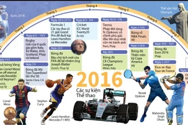 (Nhấp chuột vào ảnh để xem kích thước chuẩn)